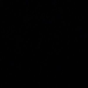 Meet your Posher, Joey